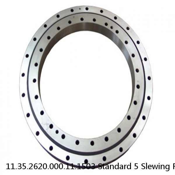 11.35.2620.000.11.1503 Standard 5 Slewing Ring Bearings