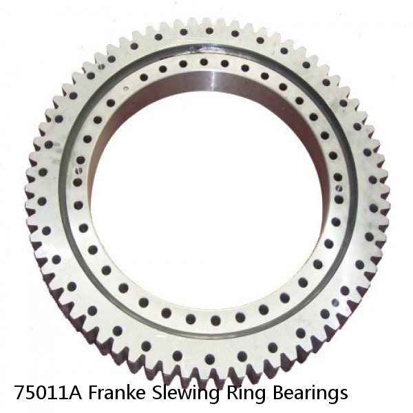 75011A Franke Slewing Ring Bearings