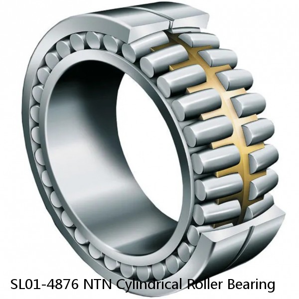 SL01-4876 NTN Cylindrical Roller Bearing