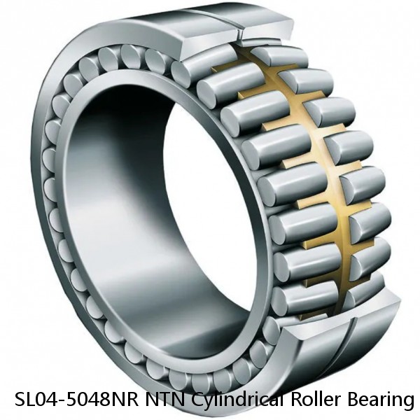 SL04-5048NR NTN Cylindrical Roller Bearing