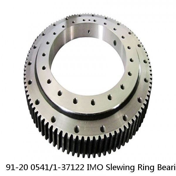 91-20 0541/1-37122 IMO Slewing Ring Bearings