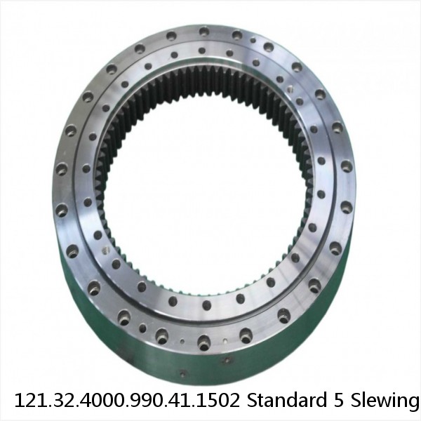 121.32.4000.990.41.1502 Standard 5 Slewing Ring Bearings #1 small image