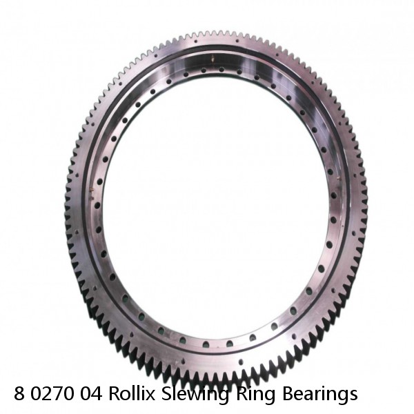 8 0270 04 Rollix Slewing Ring Bearings #1 small image