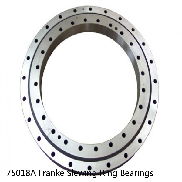 75018A Franke Slewing Ring Bearings #1 small image