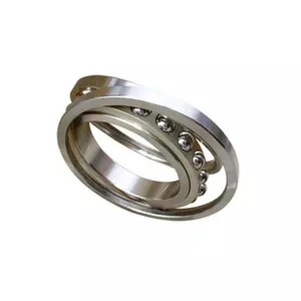 FAG NU219-E-M1-C4-S1  Cylindrical Roller Bearings #1 image