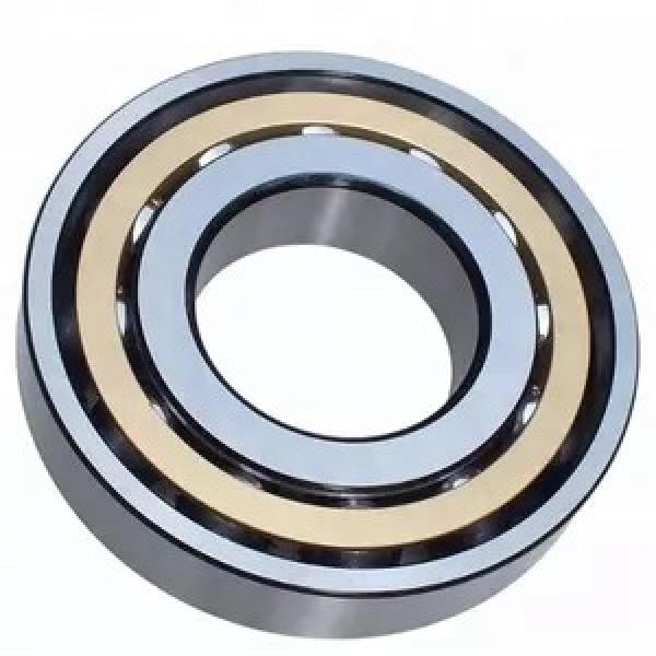 FAG NJ2211-E-M1-C3  Cylindrical Roller Bearings #1 image