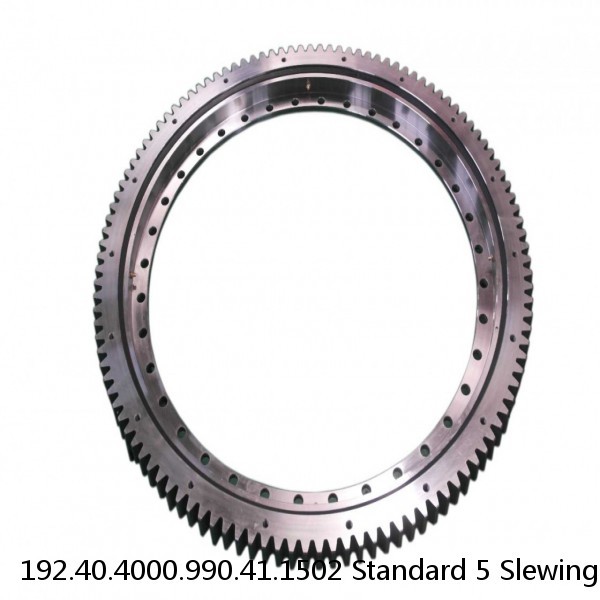 192.40.4000.990.41.1502 Standard 5 Slewing Ring Bearings #1 image