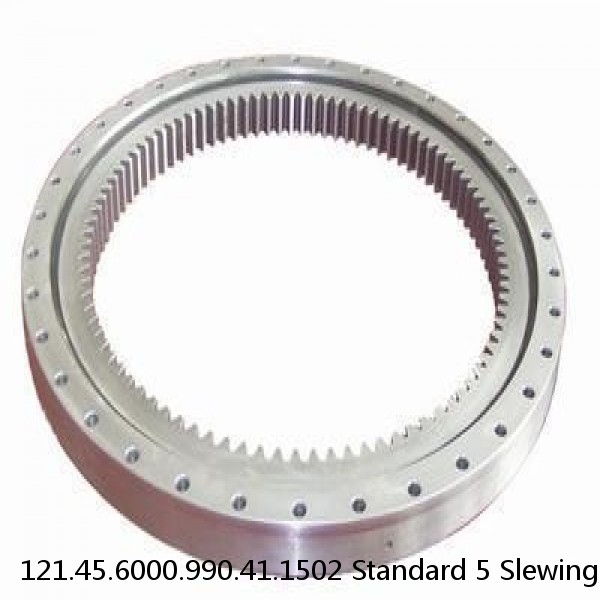 121.45.6000.990.41.1502 Standard 5 Slewing Ring Bearings #1 image