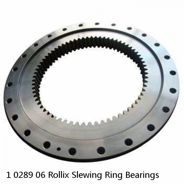 1 0289 06 Rollix Slewing Ring Bearings #1 image