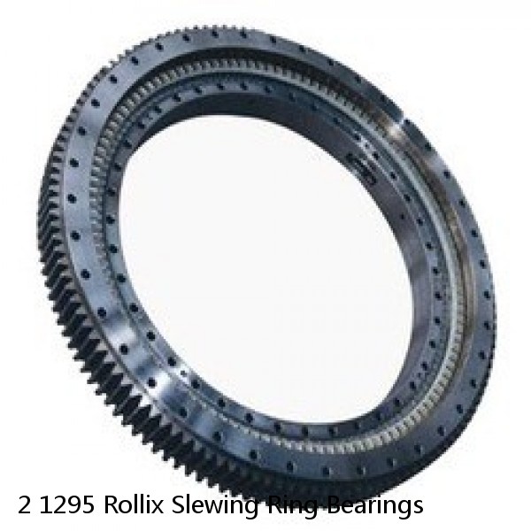 2 1295 Rollix Slewing Ring Bearings #1 image