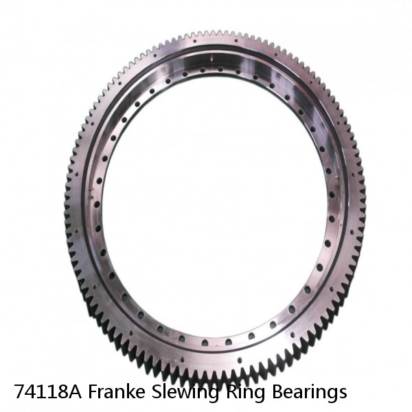 74118A Franke Slewing Ring Bearings #1 image