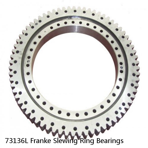 73136L Franke Slewing Ring Bearings #1 image