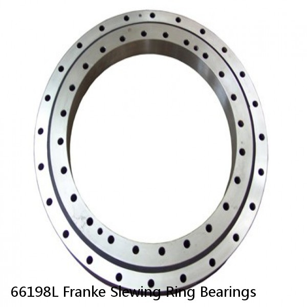 66198L Franke Slewing Ring Bearings #1 image