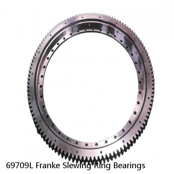 69709L Franke Slewing Ring Bearings #1 image