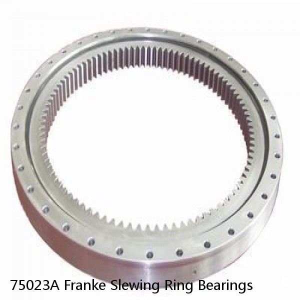 75023A Franke Slewing Ring Bearings #1 image