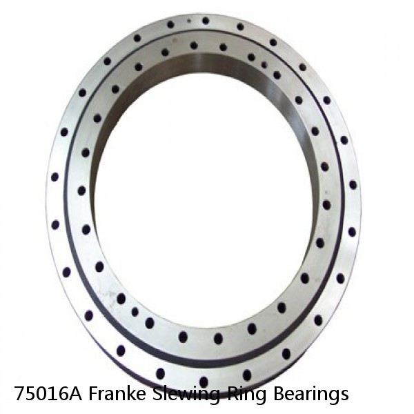 75016A Franke Slewing Ring Bearings #1 image
