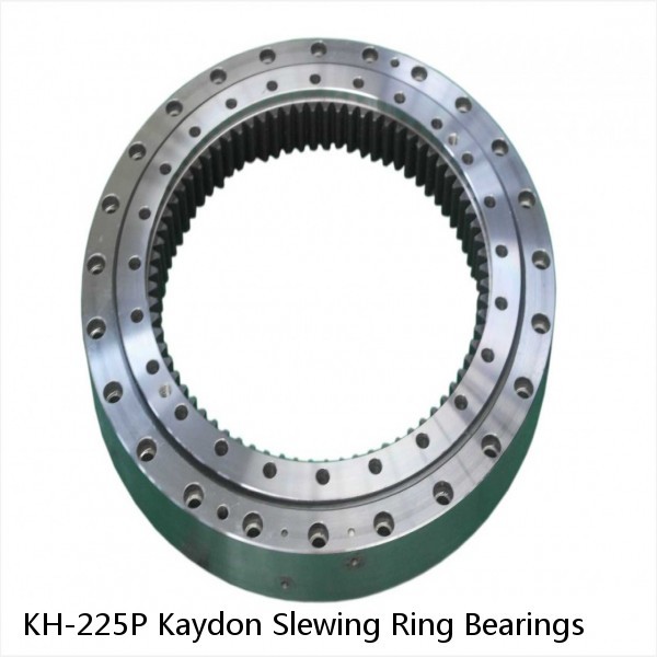 KH-225P Kaydon Slewing Ring Bearings #1 image