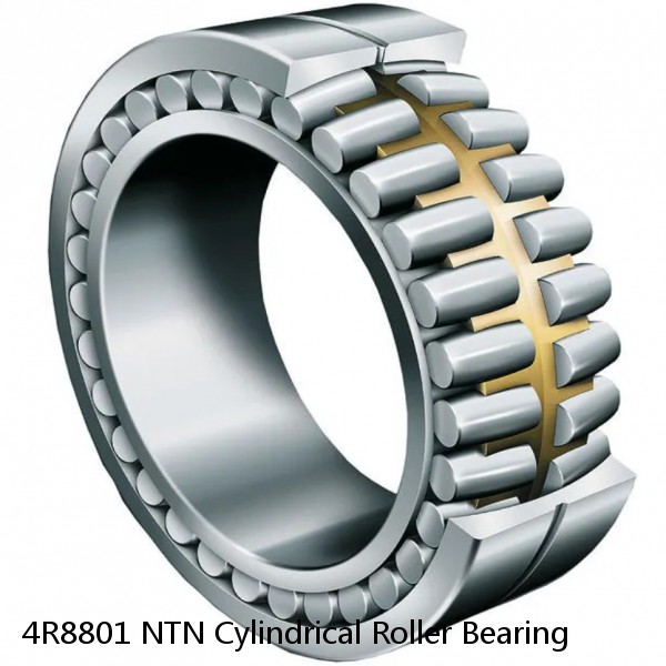 4R8801 NTN Cylindrical Roller Bearing #1 image