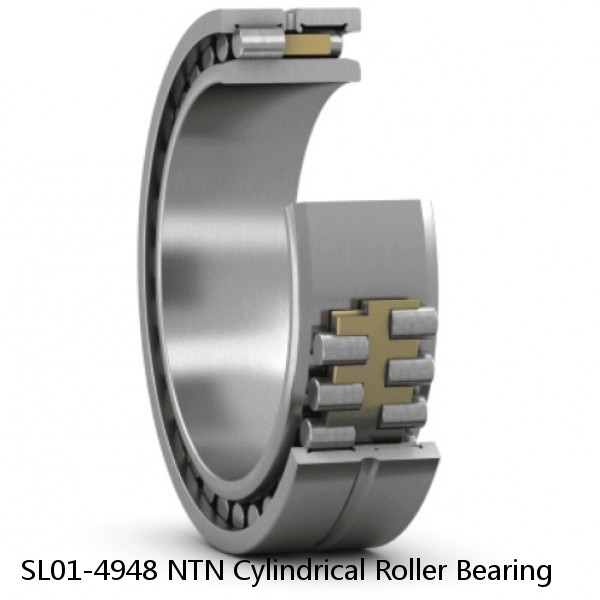 SL01-4948 NTN Cylindrical Roller Bearing #1 image