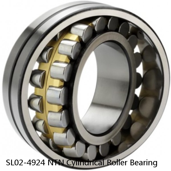 SL02-4924 NTN Cylindrical Roller Bearing #1 image