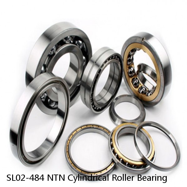SL02-484 NTN Cylindrical Roller Bearing #1 image