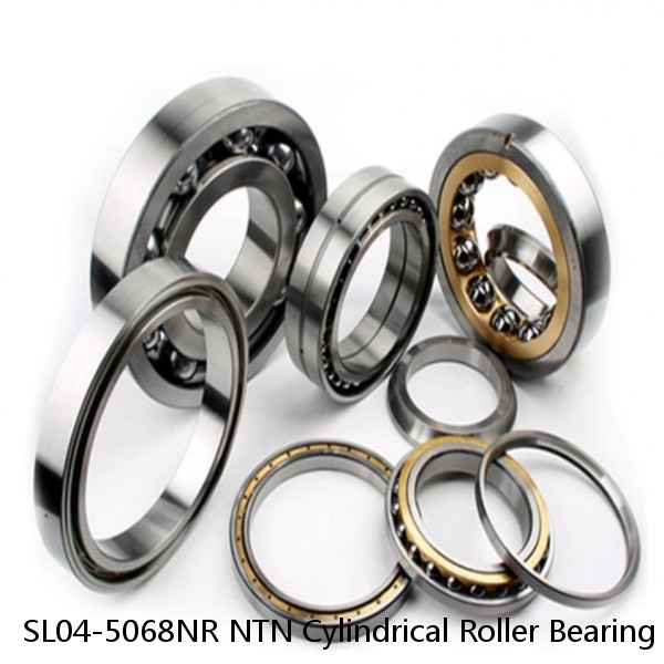SL04-5068NR NTN Cylindrical Roller Bearing #1 image